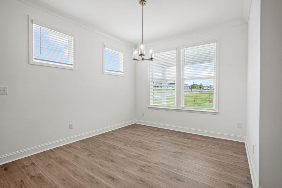 Spacious, unfurnished interior of a new home in Carolina Riverside, Belmont (Image 59).