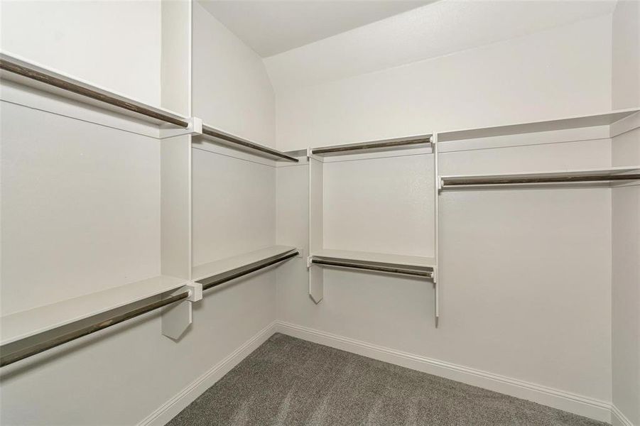 Spacious closet featuring dark colored carpet