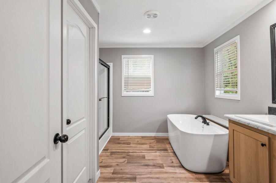Furnished interior view inside a new home in , Eutawville (Image 3).
