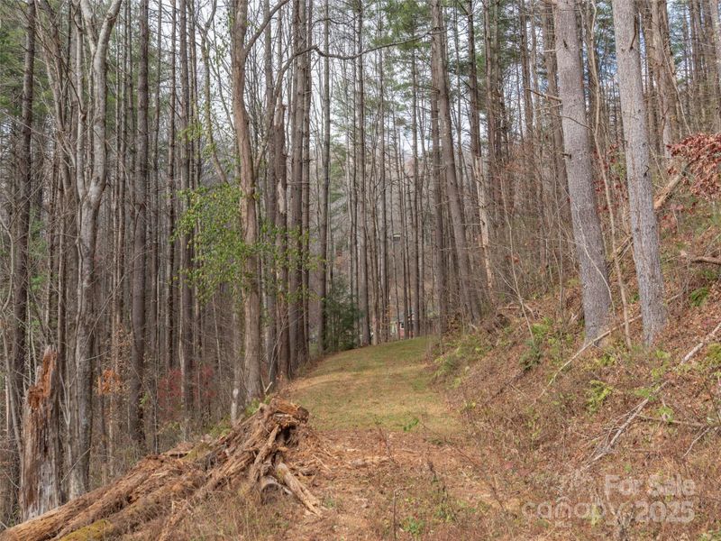 Natural landscape and outdoor views near  in Maggie Valley (Image 4).