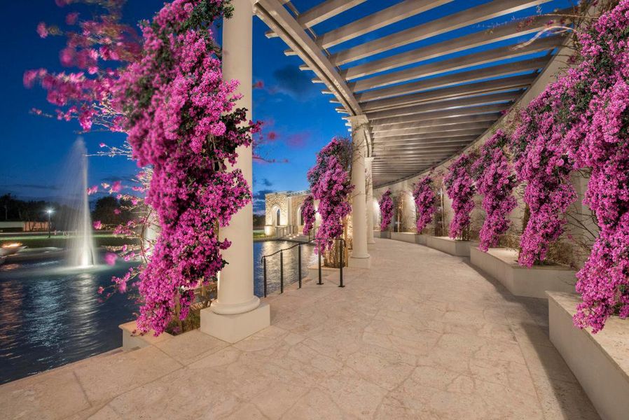 Avenir Entry Colorful