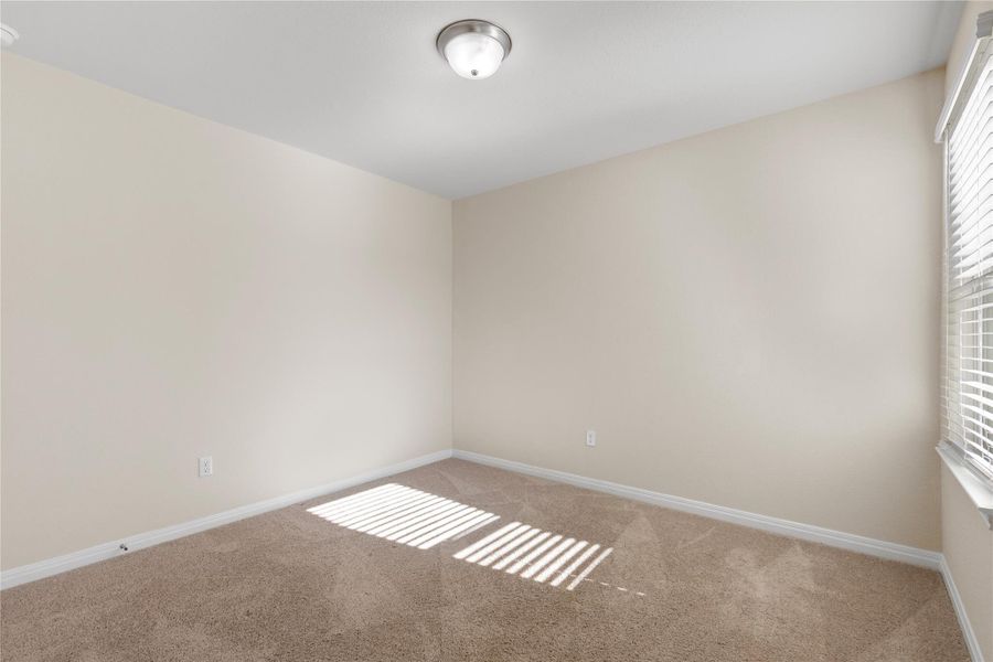 Carpeted bedroom with baseboards Carpeted bedroom with baseboards