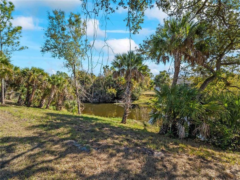 Natural landscape and outdoor views near  in North Port (Image 49).