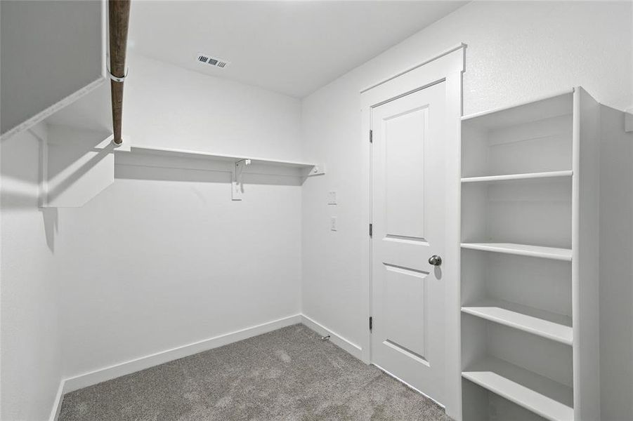 Walk in closet featuring carpet flooring