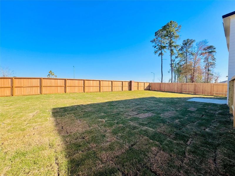 Exterior details and patio area of a home in Spring Creek Trails, Magnolia (Image 13).