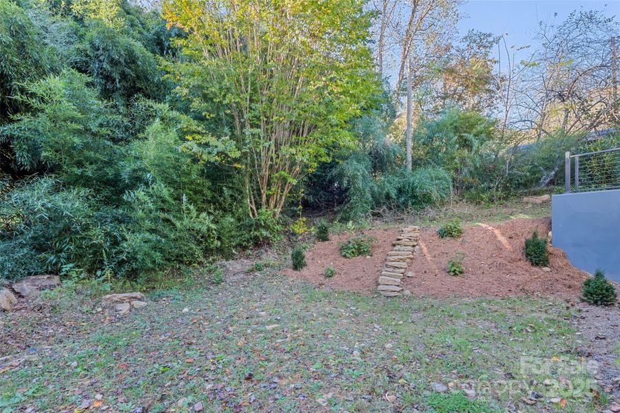 Natural landscape and outdoor views near  in Sylva (Image 29).
