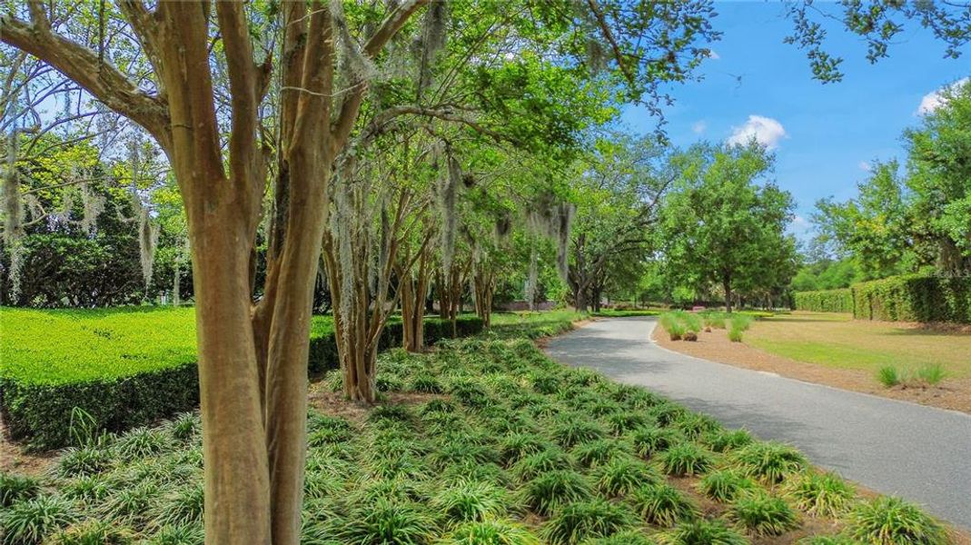 Natural landscape and outdoor views near  in Ocala (Image 59).