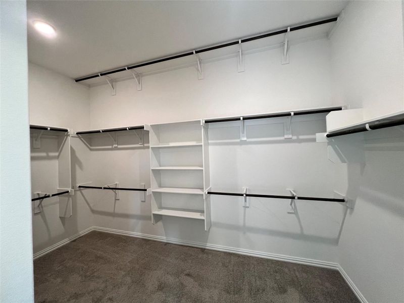 Spacious closet featuring carpet flooring Spacious closet featuring carpet flooring