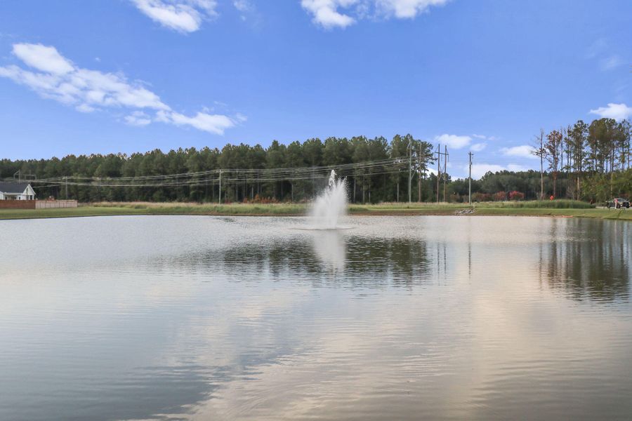 Natural landscape and outdoor views near  in Summerville (Image 74).