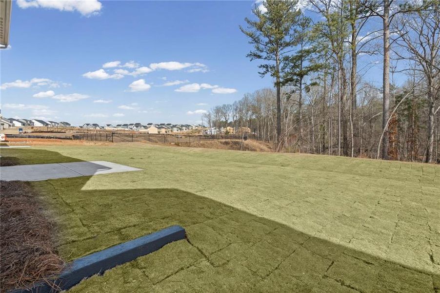 Natural landscape and outdoor views near Twin Lakes in Hoschton (Image 39).