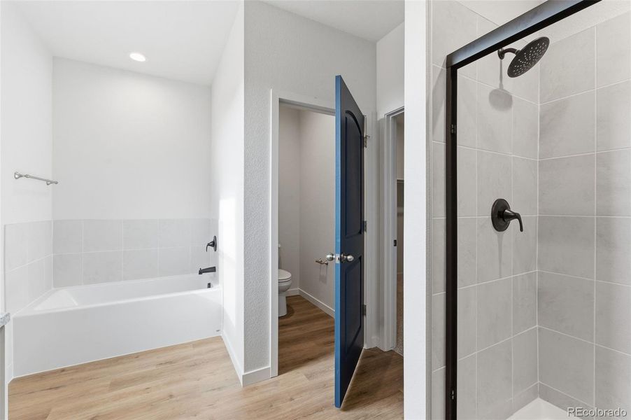Furnished interior view inside a new home in , Pueblo West (Image 3). Furnished interior view inside a new home in , Pueblo West (Image 3).