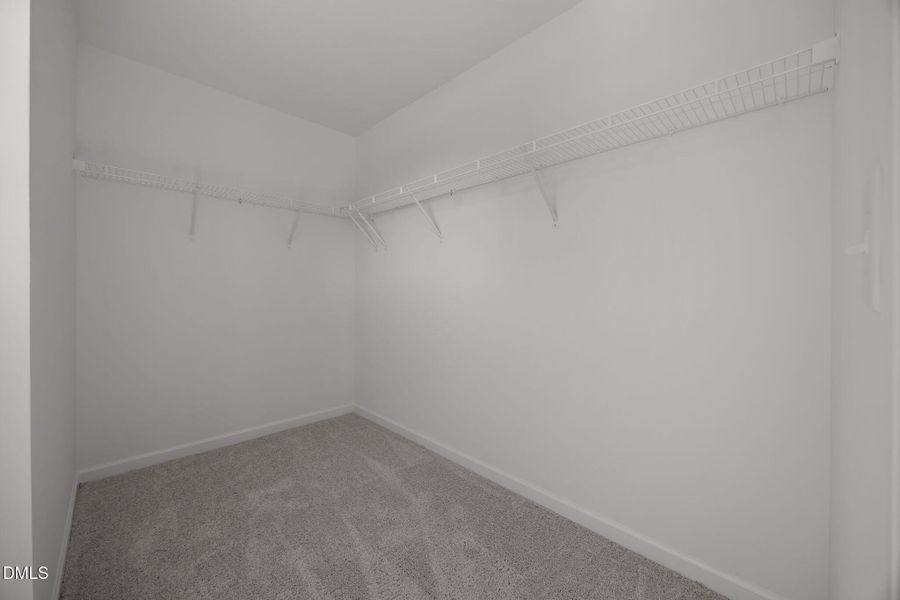 37-web-or-mls-6S8A6930