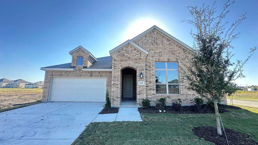 Exterior Design Construction Progress Exterior Design Construction Progress