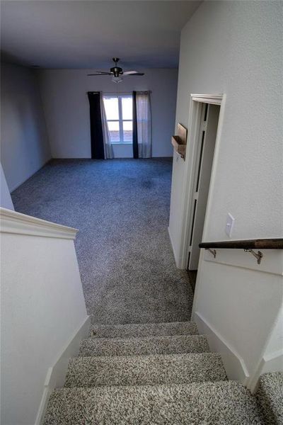 Stairway featuring carpet and a ceiling fan