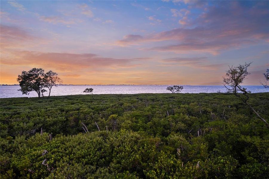 Natural landscape and outdoor views near  in Bradenton (Image 71).