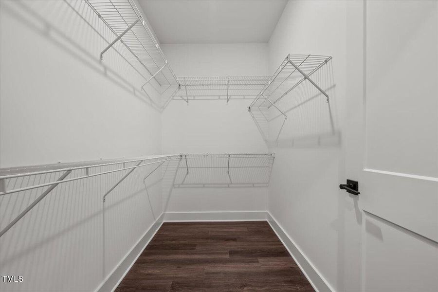 23-DSC07667 23-DSC07667