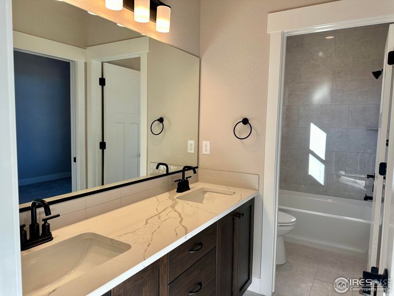 Furnished interior view inside a new home in , Wellington (Image 5).