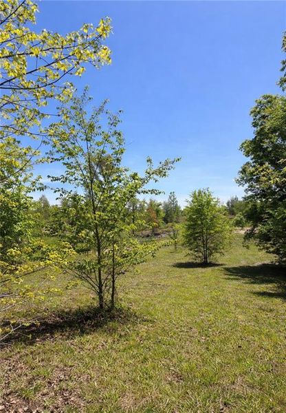 Natural landscape and outdoor views near  in Cave Spring (Image 32).