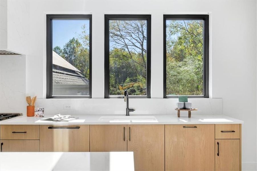 Image 96 of a home in Aster.