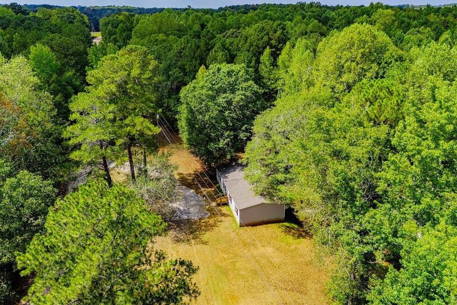 Natural landscape and outdoor views near  in Carrollton (Image 56).