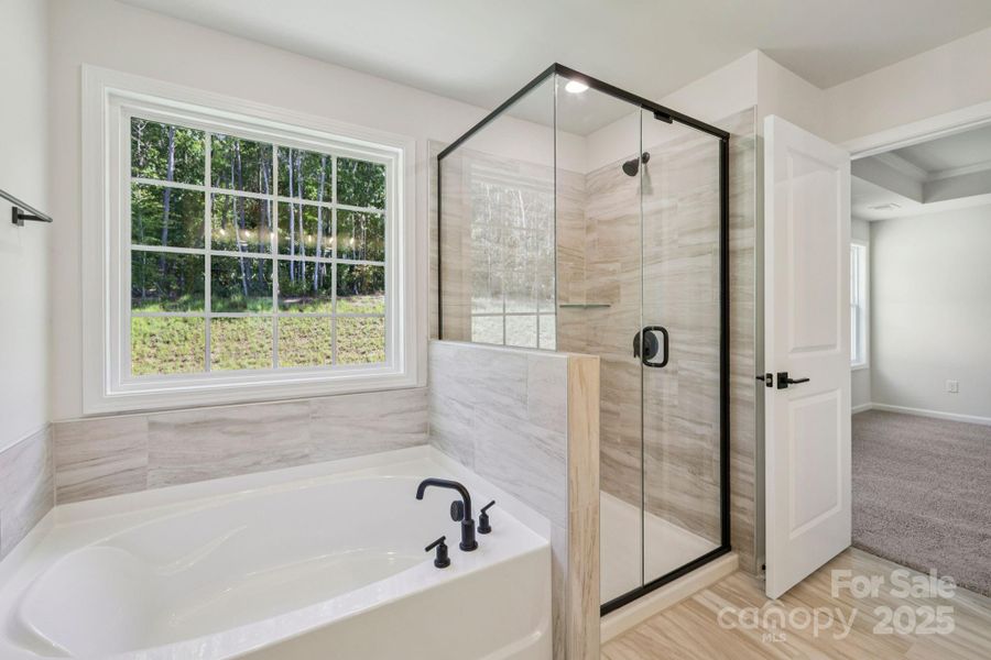 Furnished interior view inside a new home in Falls Cove, Troutman (Image 11).
