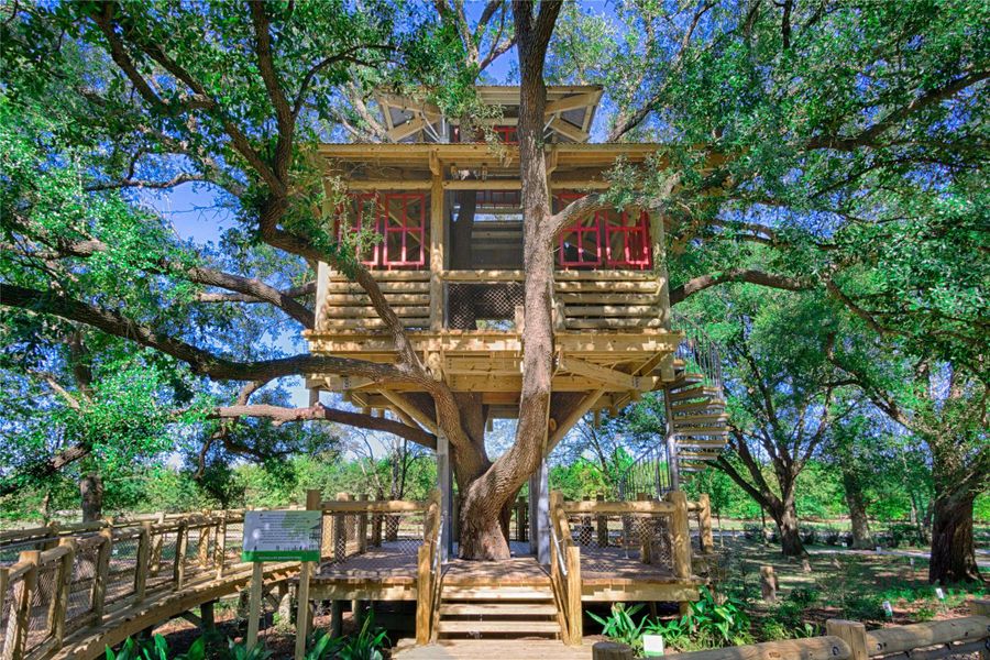 The tree house of your dreams! The tree house of your dreams!