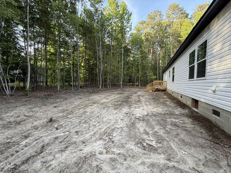 Backyard