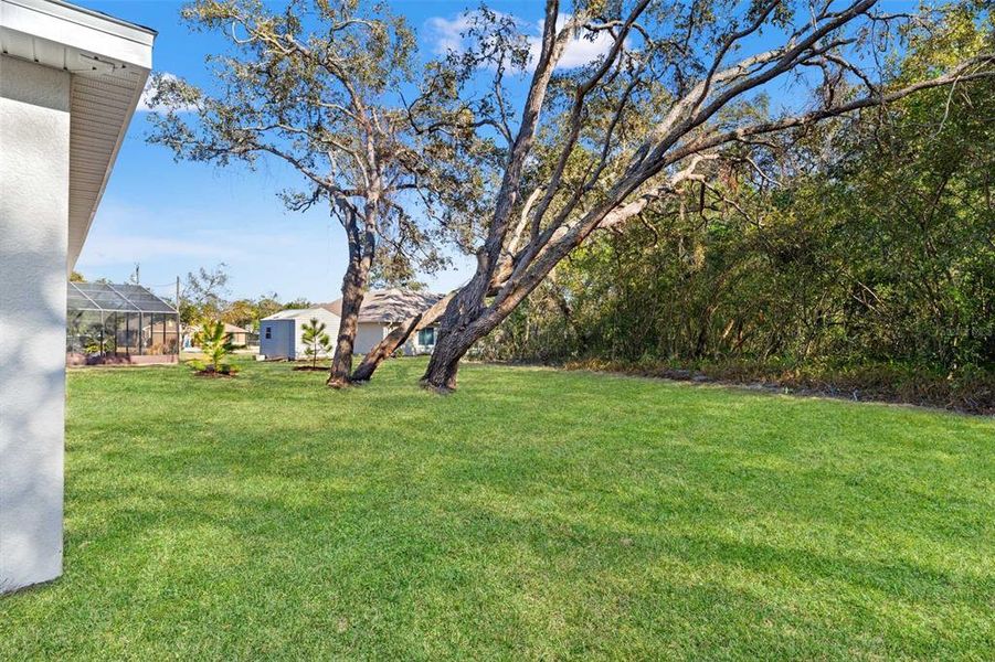 Exterior details and patio area of a home in , Spring Hill (Image 27).