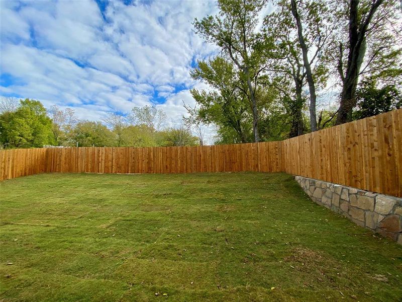 View of private back yard with tall fence and large trees.