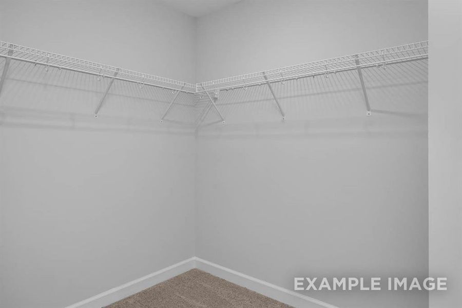 Spacious closet featuring carpet