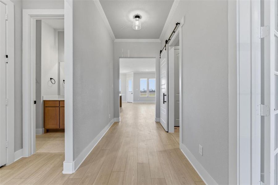 Hallway with a barn door, light wood-type flooring, and crown molding