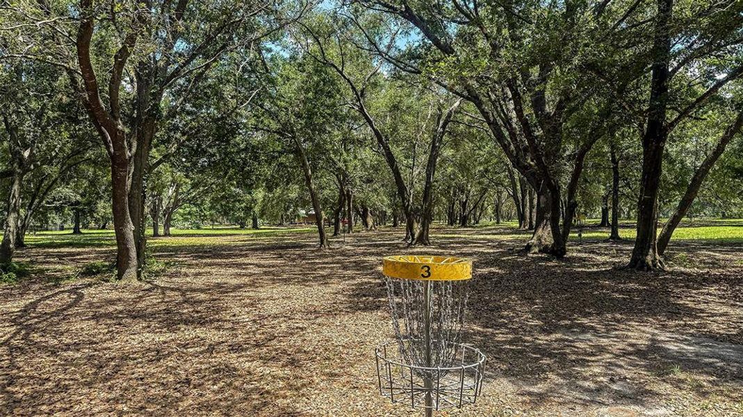 Natural landscape and outdoor views near Waterstone in Groveland (Image 26).