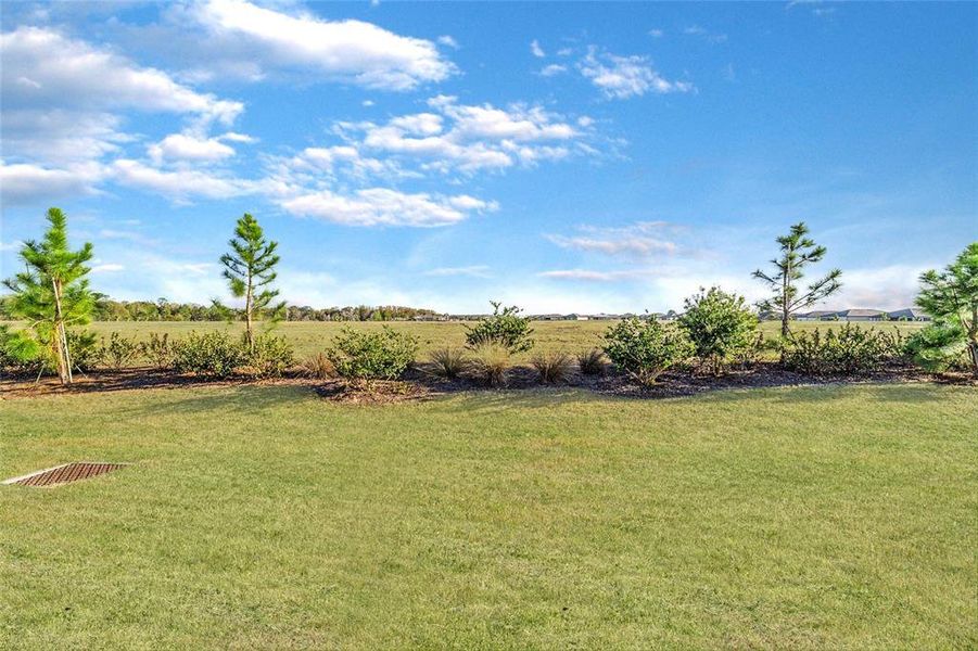 Natural landscape and outdoor views near  in Ocala (Image 48).