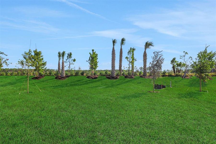 Natural landscape and outdoor views near Brystol North at Wylder in Port St. Lucie (Image 30).