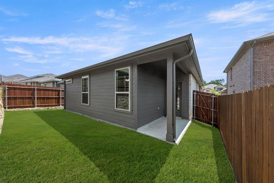 26. 3112 Yellow Pine - Back