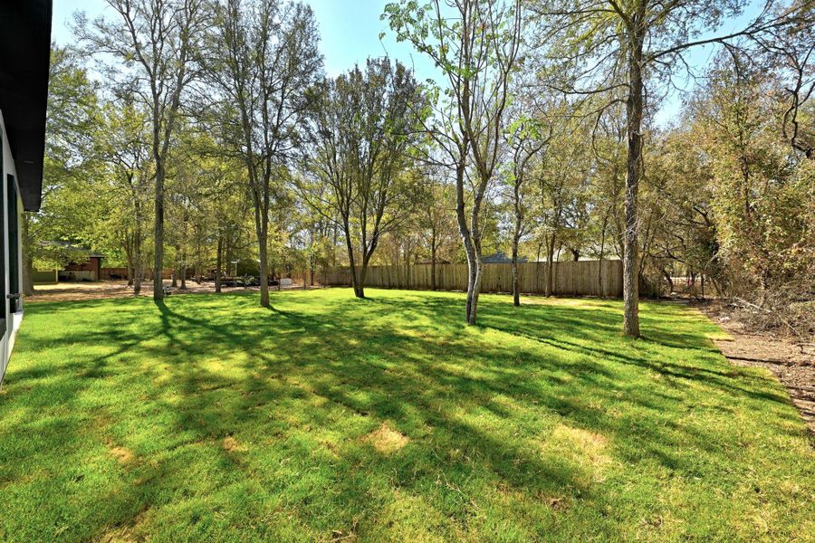 Natural landscape and outdoor views near in Bastrop (Image 33). Natural landscape and outdoor views near in Bastrop (Image 33).