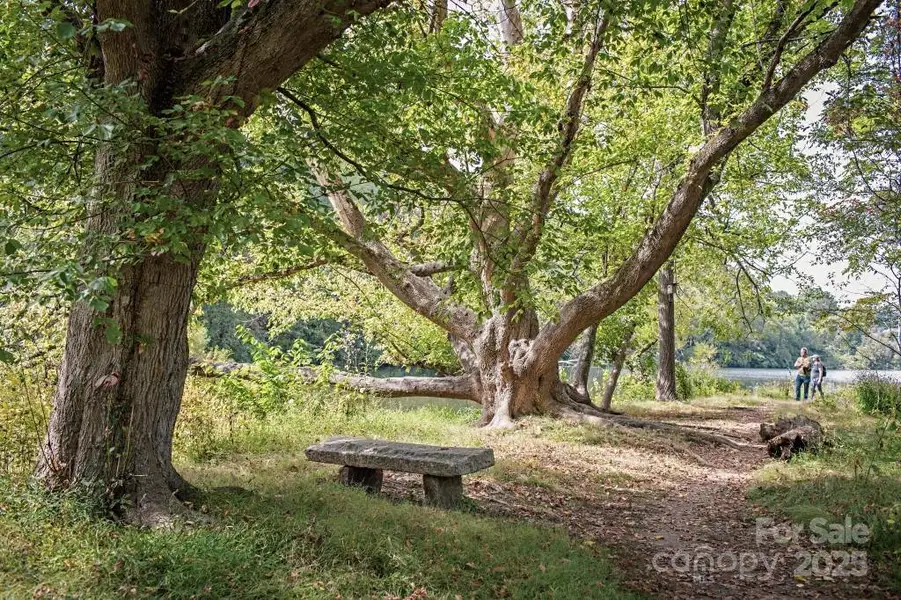Trails at Beaver Lake