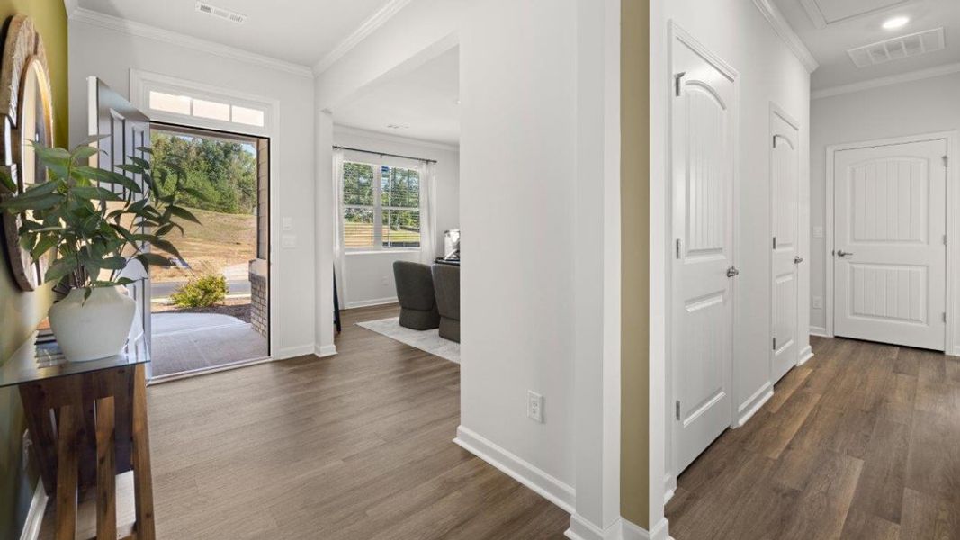 Image 41 representing the Booth by D.R. Horton in Whispering Springs, Maryville, TN.