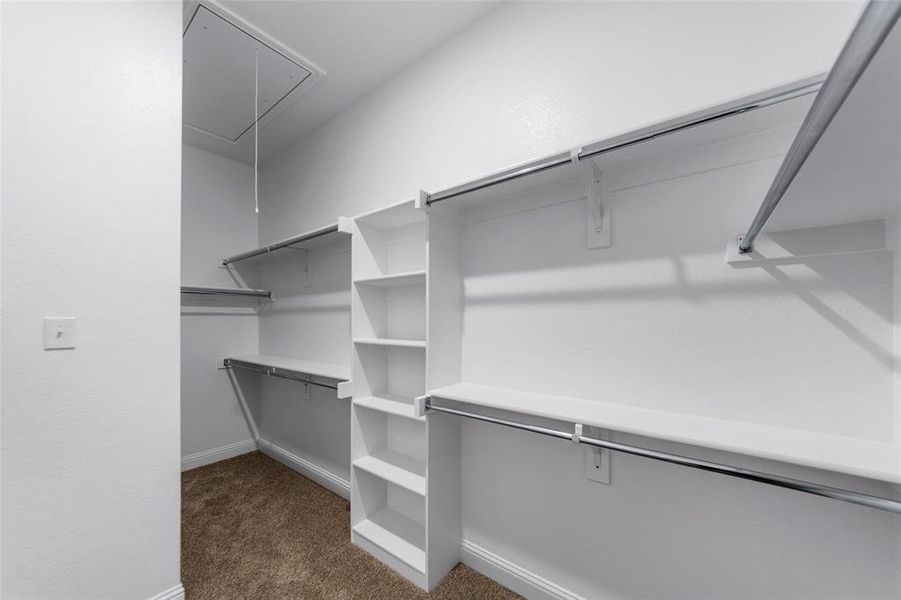 Walk-in closet featuring carpet flooring, built-in shelving, chrome hanging rods, and an attic access panel