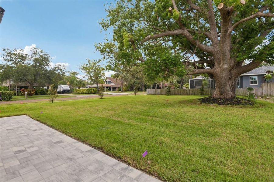 Natural landscape and outdoor views near in Tarpon Springs (Image 61). Natural landscape and outdoor views near in Tarpon Springs (Image 61).