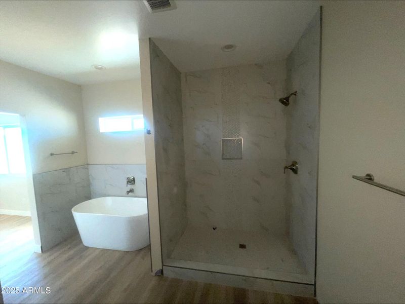 Master bathroom tub & shower