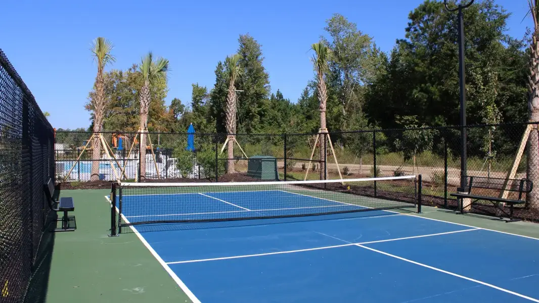Community amenities in The Forest at Black Bear, Longs (Image 12).