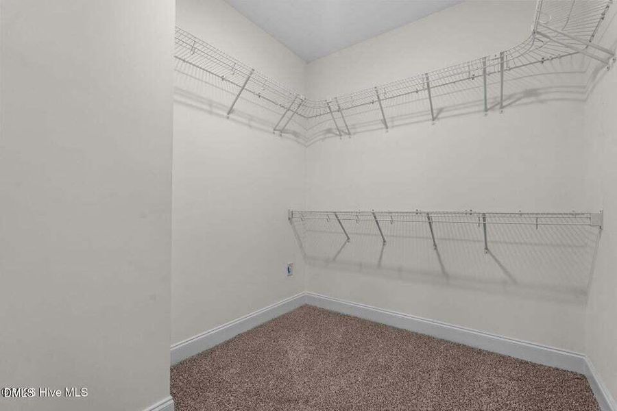 REPRESENTATION PHOTO