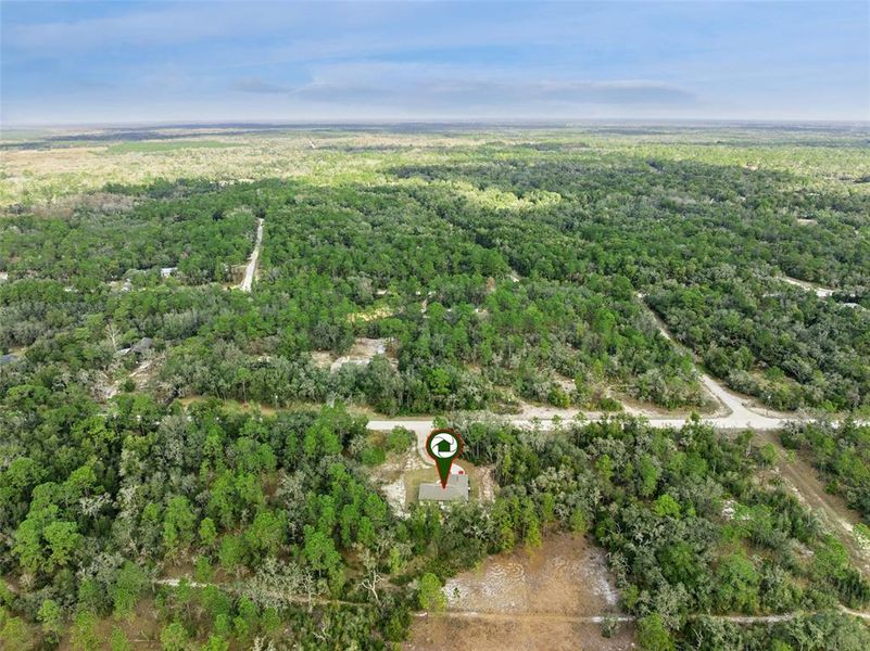 Natural landscape and outdoor views near  in Webster (Image 36).