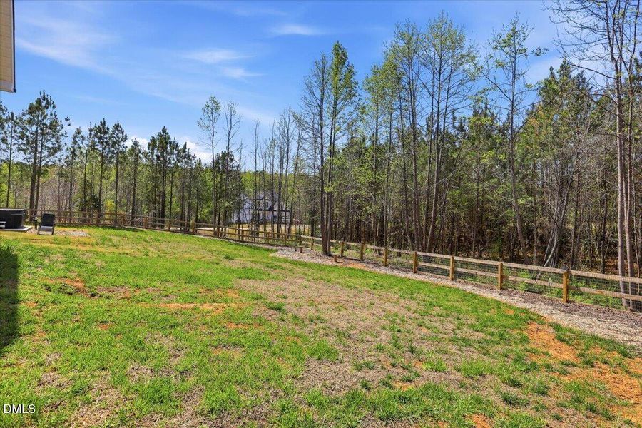 10-15 Morning Dew Wy-10