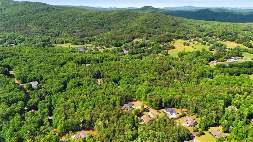 Natural landscape and outdoor views near  in Clarkesville (Image 63).