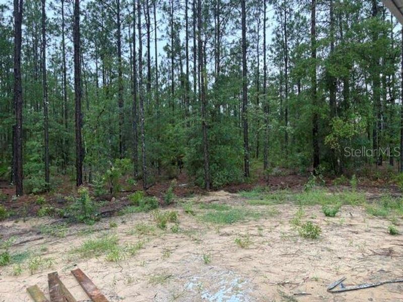 Natural landscape and outdoor views near in Ocala (Image 5). Natural landscape and outdoor views near in Ocala (Image 5).