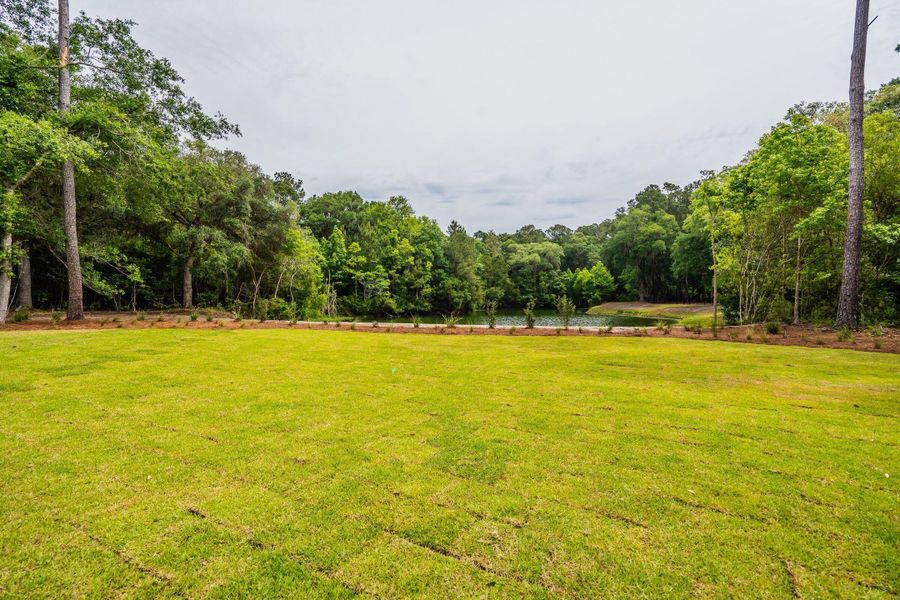 Natural landscape and outdoor views near  in Johns Island (Image 118).
