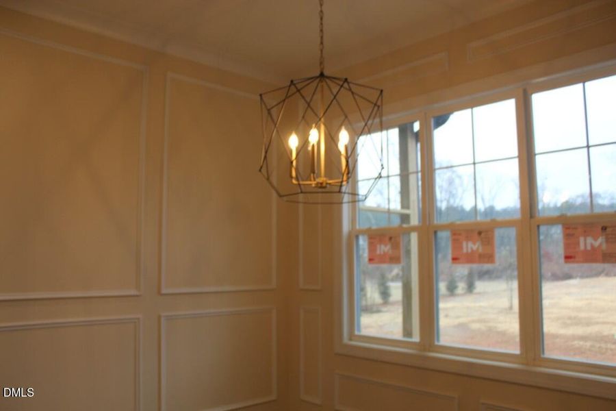 IMG_7357 (Medium) IMG_7357 (Medium)