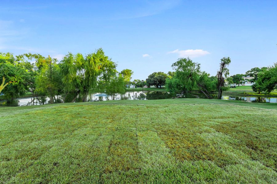 Natural landscape and outdoor views near  in Point Blank (Image 39).